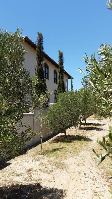 6 Bedroom Property for Sale in Klein Zevenwacht Western Cape